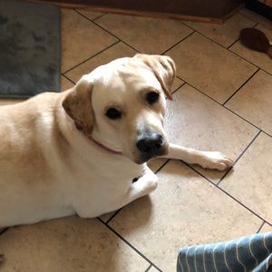 Meet your Posher, Hunter